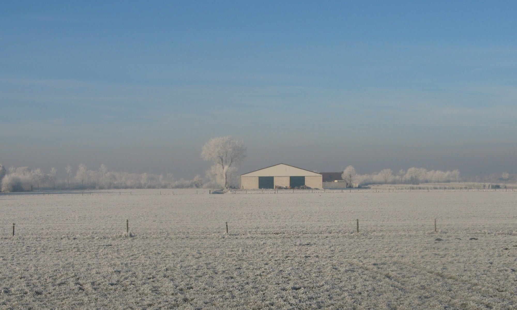 Fouragehandel A.M. de Wit